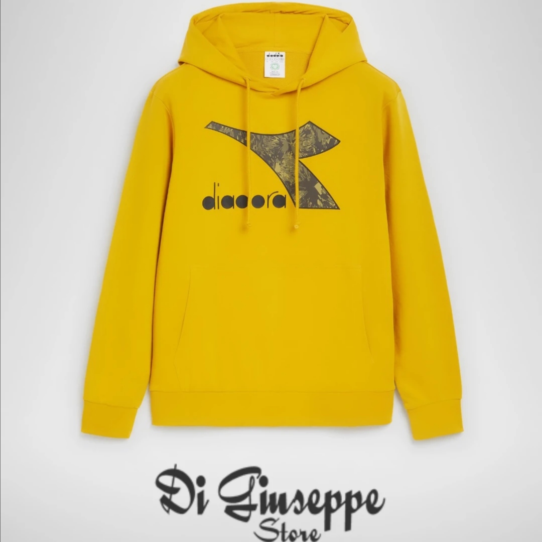 HOODIE BIG LOGO